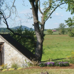 Outdoor Spaces, Outdoor Fun, Enjoy The Sun