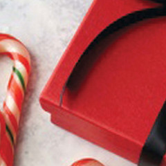 Zoe’s Candy Canes