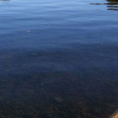 Take An Adventure With Conoco Kayak, LLC